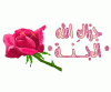     

:        fdgdfg.gif
:        313
:        14.6 
:        19028