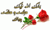     

:        868686.gif
:        203
:        41.7 
:        19072