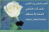     

:        4194895c4d691c5ea8a89a60bcc3b31ac9e5.jpg
:        1580
:        35.5 
:        19511