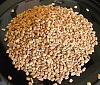     

:        &#70;&#101;&#110;&#117;&#103;&#114;&#101;&#101;&#107;&#45;&#109;&#101;&#116;&#104;&#105;&#45;&#1.jpg
:        557
:        466.5 
:        20270