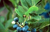     

:        &#98;&#98;&#115;&#108;&#100;&#51;&#54;&#46;.jpg
:        636
:        51.3 
:        20271