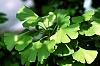     

:        &#108;&#111;&#118;&#101;&#108;&#121;&#110;&#111;&#116;&#99;&#104;&#101;&#100;&#108;&#101;&#97;&#.jpg
:        773
:        25.8 
:        20273