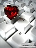     

:        &#105;&#110;&#116;&#101;&#114;&#110;&#101;&#116;&#108;&#111;&#118;&#101;&#46;.jpg
:        211
:        24.3 
:        20400