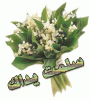     

:        gmrup12950209023.gif
:        188
:        111.5 
:        21625