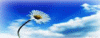     

:         .gif
:        223
:        12.9 
:        21910
