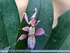     

:        7a0ba39da3.jpg
:        241
:        21.7 
:        4150