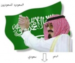 الصورة الرمزية حوار السعوديه